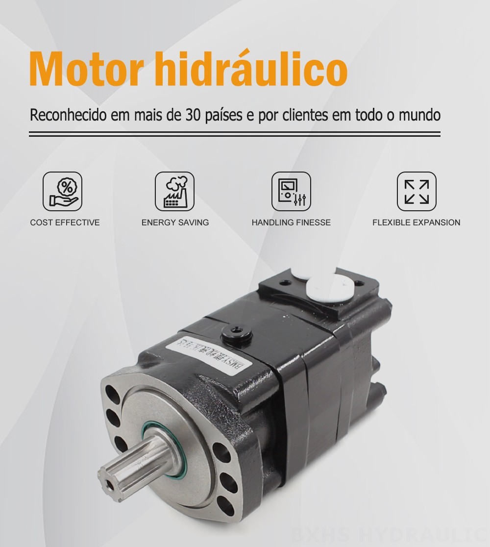Motor Hidráulico Ciclóide BMSY 100 cc/r 50 Lpm Motor hidráulico